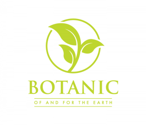 Botanic Logo Design - lo + co design